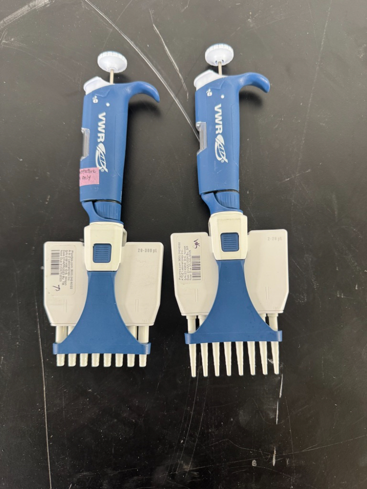 Image of VWR Multichannel Pipettes - Quantity 2